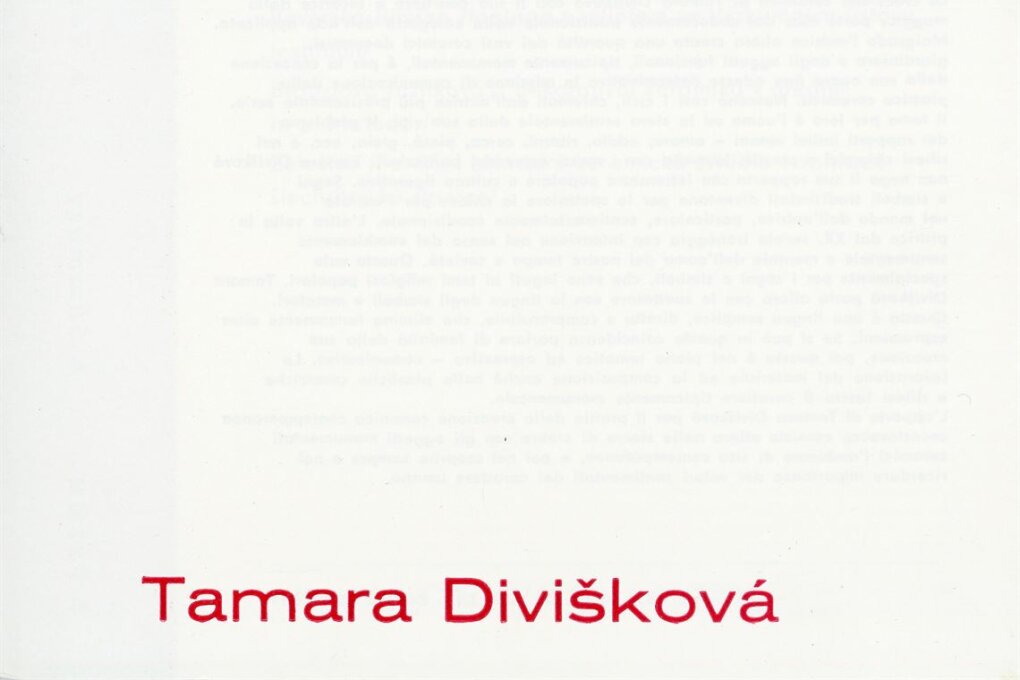 Tamara Divíšková – kamenina